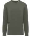 NS333 Native Spirit Unisex Crew Neck Long Sleeve T-Shirt organic khaki colour image